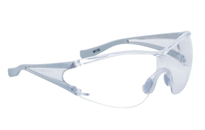 Delta Plus Ergon Clear Safety Spectacle