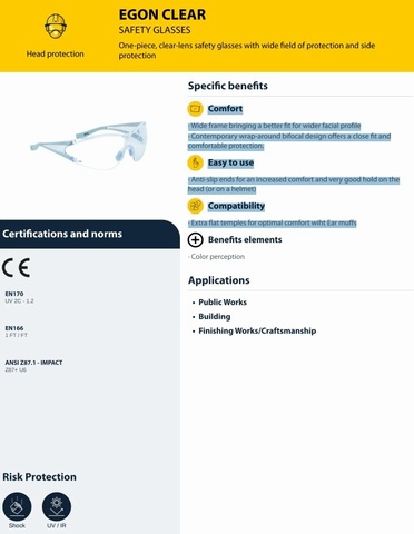 Delta Plus Ergon Clear Safety Spectacle