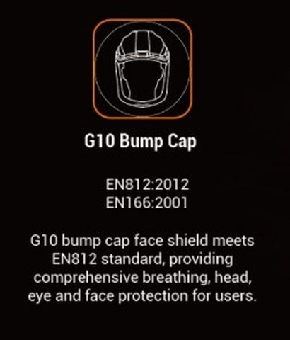 Tecmen G10 PAPR Grinding Visor system